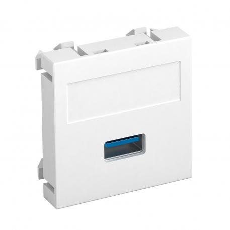 Porta USB 2.0/3.0, 1 modulo, uscita diritta, come attacco a vite bianco; RAL 9010